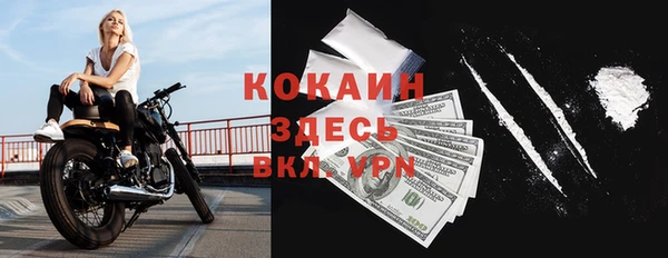 прущие грибы Лиски