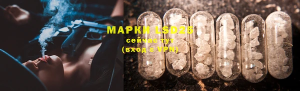 тгк Богородицк