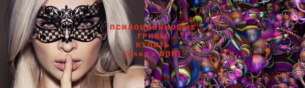 тгк Богородск